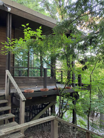 Fry-II-house-shown-perched-in-the-treetops-Photo-Rolf-Anderson